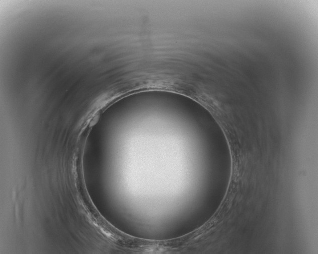 X0000081470098200701191816