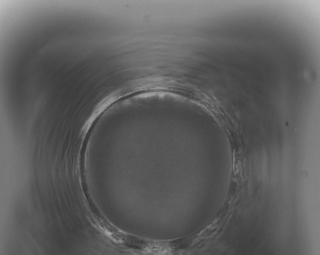 X0000081470099200701191816