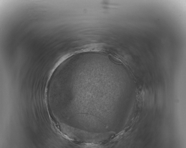 X0000081470100200701191816