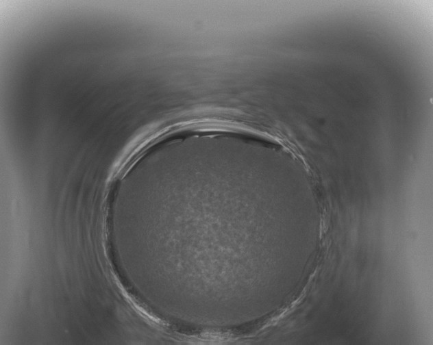 X0000081470101200701191816