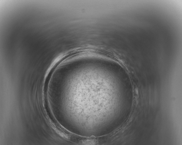 X0000081470102200701191816