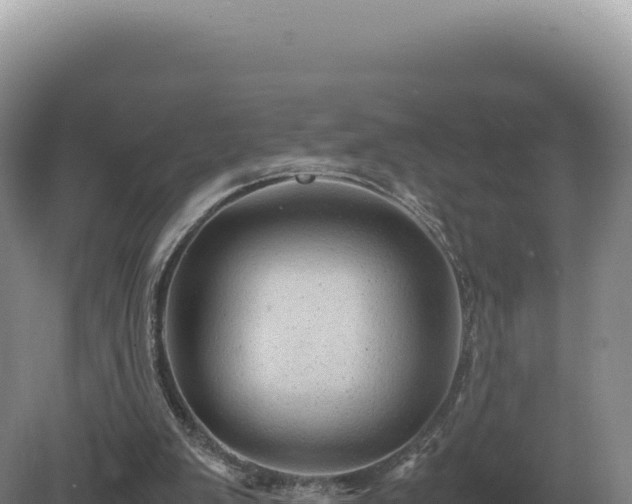 X0000081470103200701191816