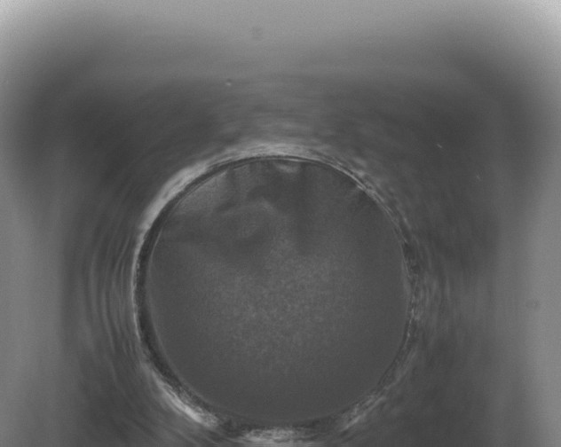 X0000081470104200701191816