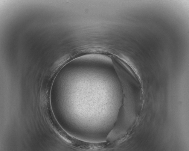 X0000081470105200701191816