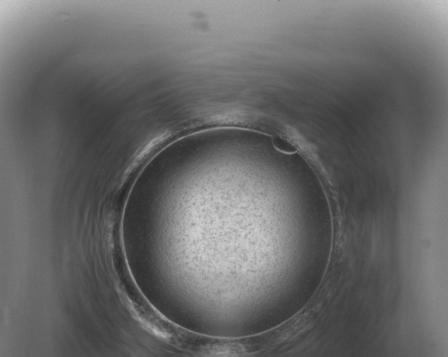 X0000081470106200701191816