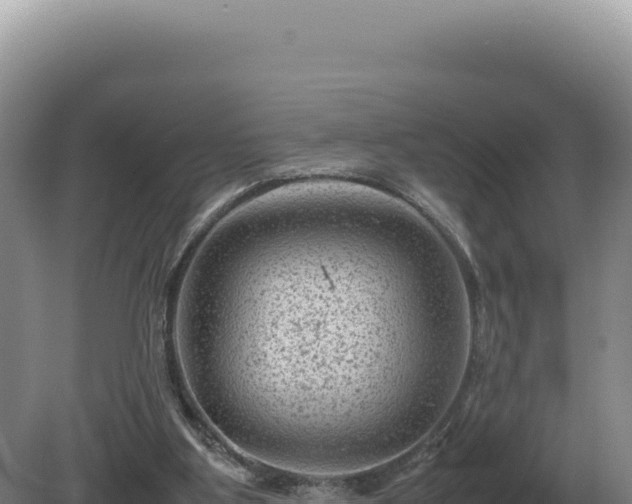 X0000081470107200701191816