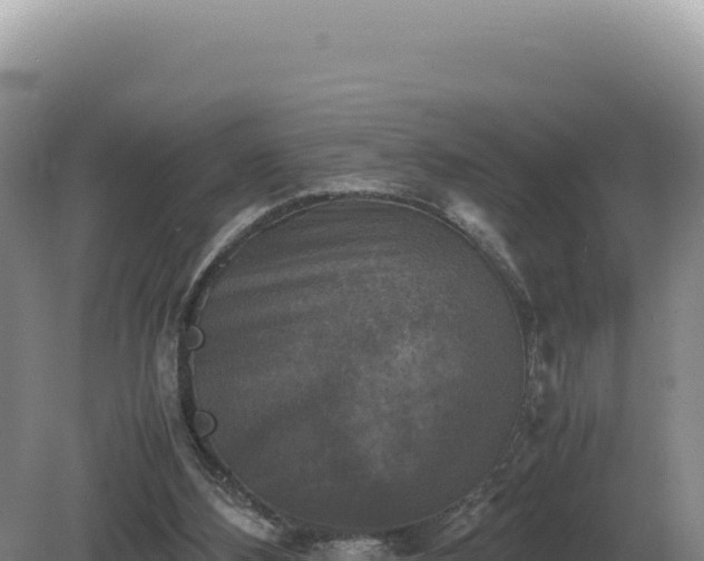 X0000081470108200701191816