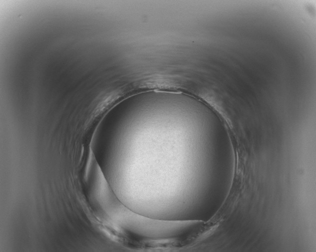 X0000081470109200701191816