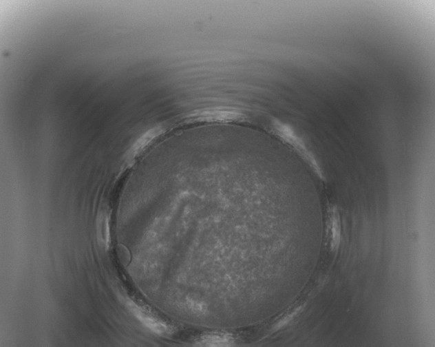 X0000081470110200701191816