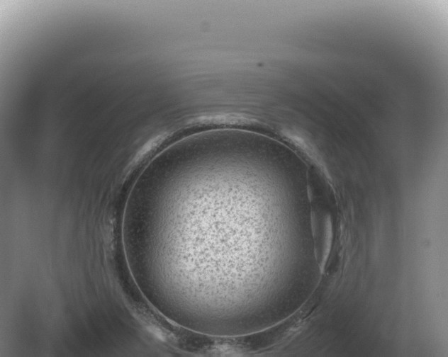 X0000081470111200701191816