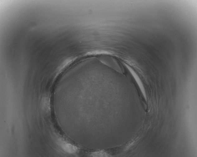 X0000081470112200701191816