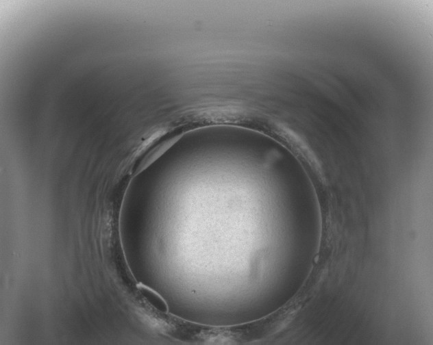 X0000081470113200701191816