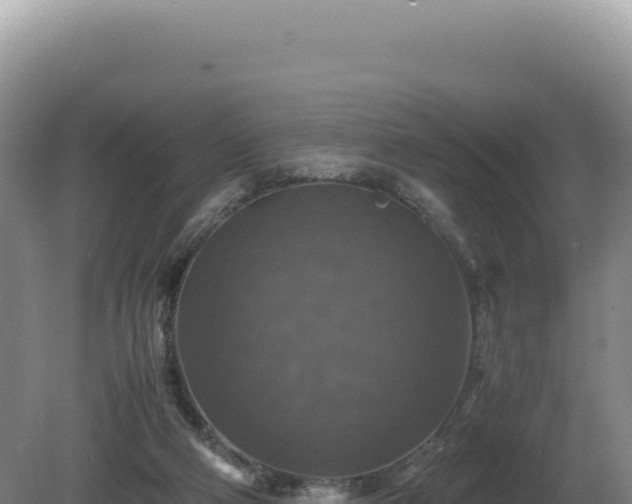 X0000081470114200701191816