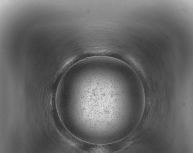 X0000081470115200701191816