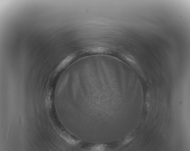 X0000081470116200701191816