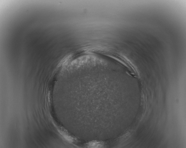 X0000081470117200701191816