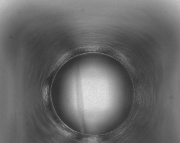 X0000081470118200701191816