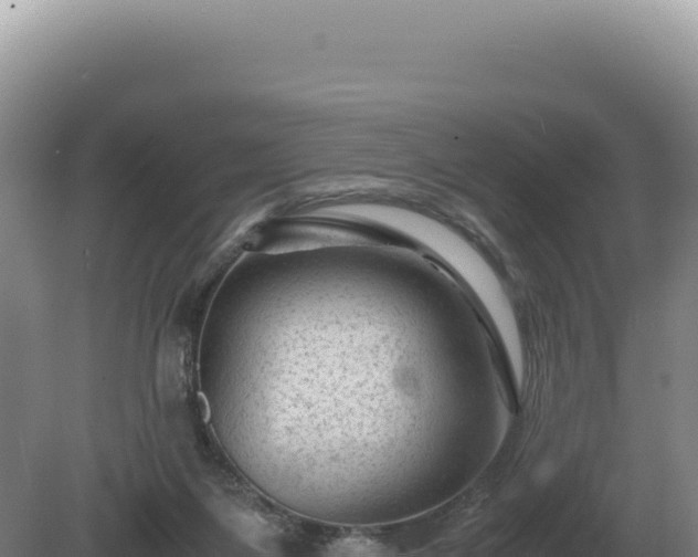 X0000081470119200701191816