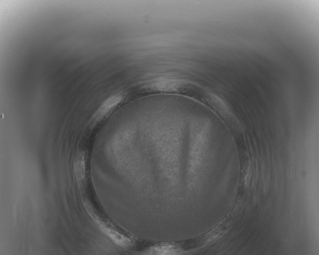 X0000081470120200701191816