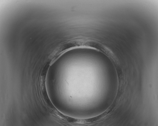 X0000081470121200701191816