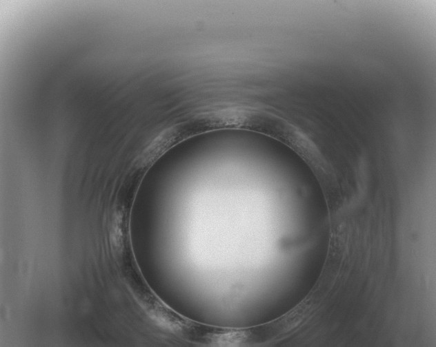 X0000081470122200701191816