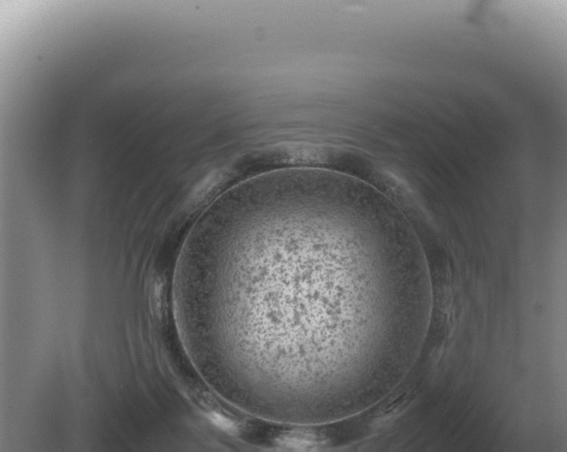 X0000081470123200701191816