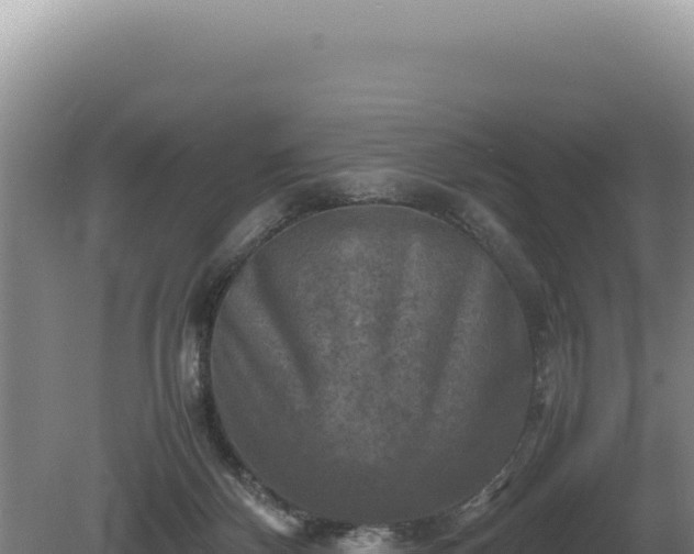 X0000081470124200701191816