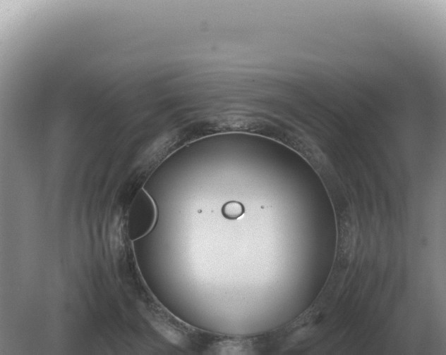 X0000081470126200701191816