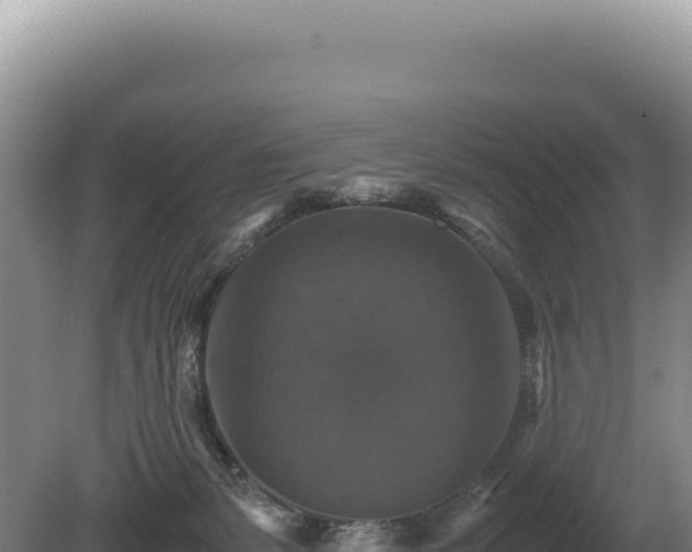 X0000081470127200701191816