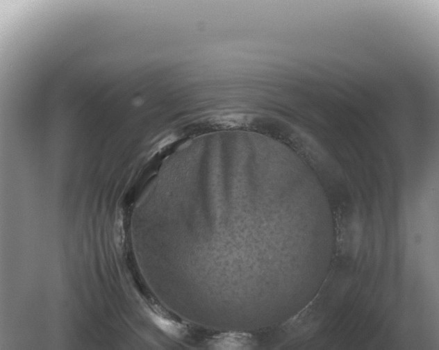 X0000081470128200701191816