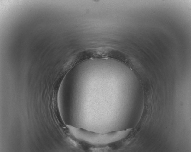 X0000081470129200701191816