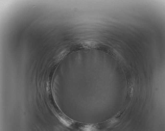 X0000081470130200701191816