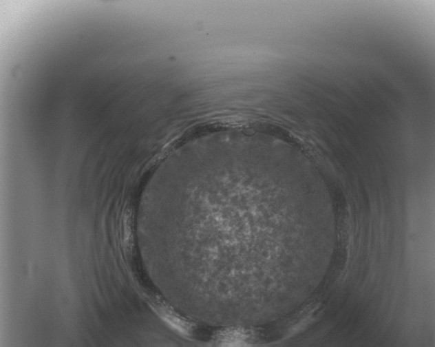 X0000081470131200701191816