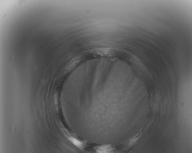 X0000081470132200701191816