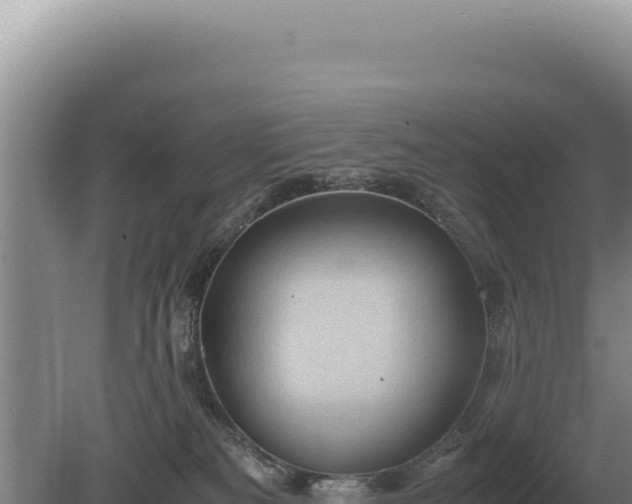 X0000081470133200701191816