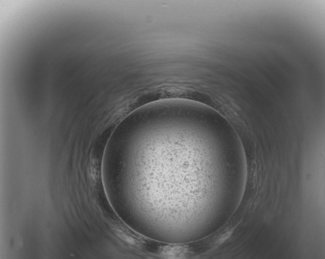 X0000081470135200701191815