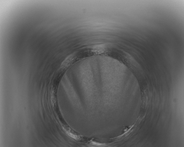 X0000081470136200701191815