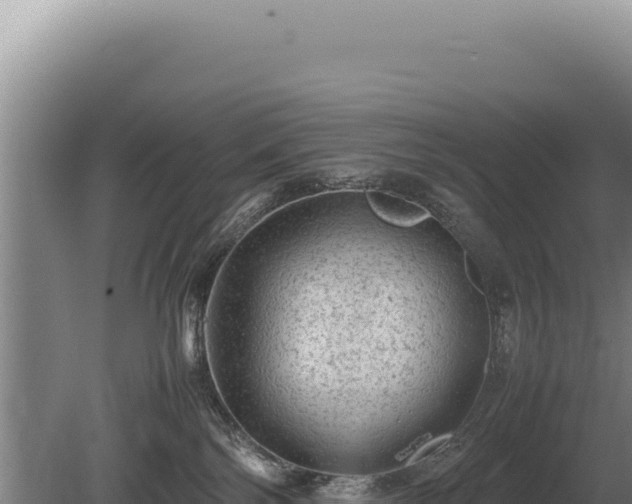 X0000081470138200701191815