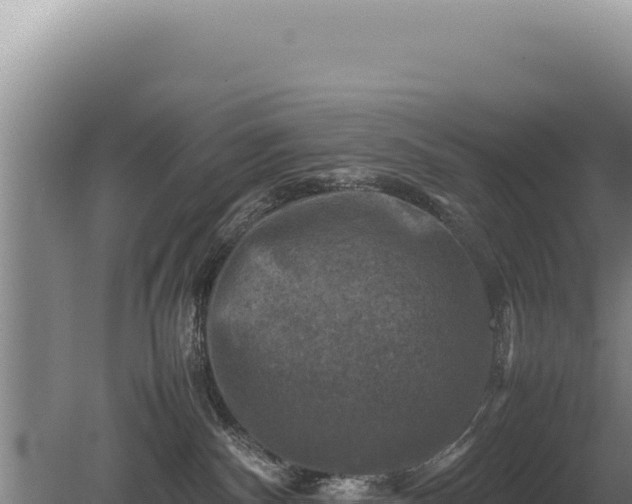 X0000081470140200701191815