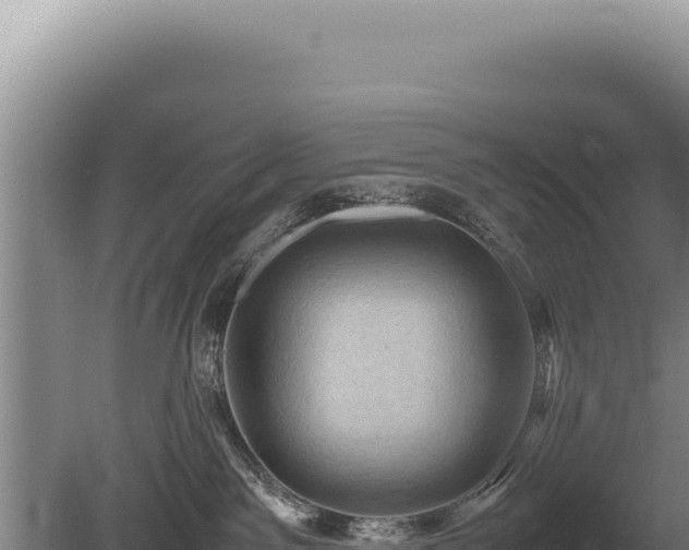 X0000081470141200701191815