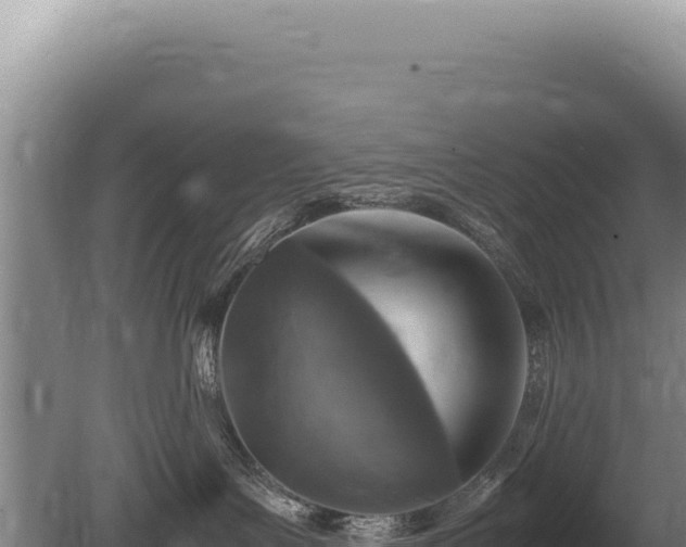 X0000081470143200701191815