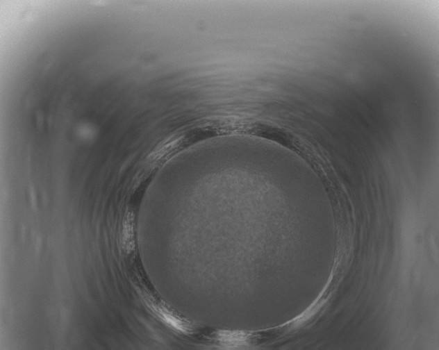 X0000081470144200701191815