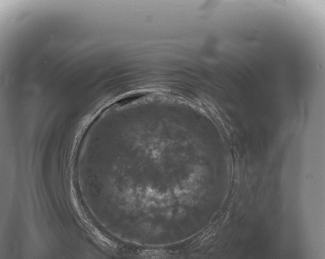 X0000081470145200701191815