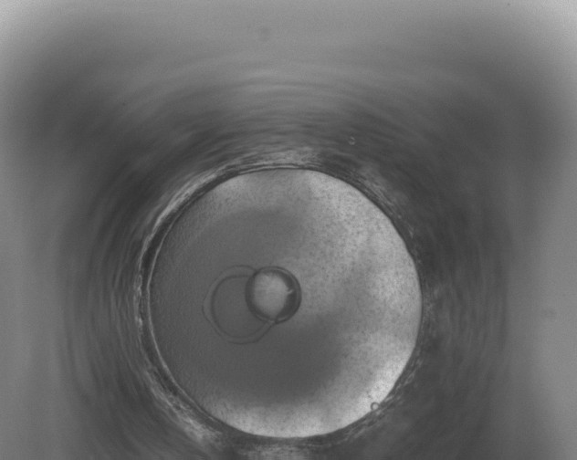 X0000081470146200701191815