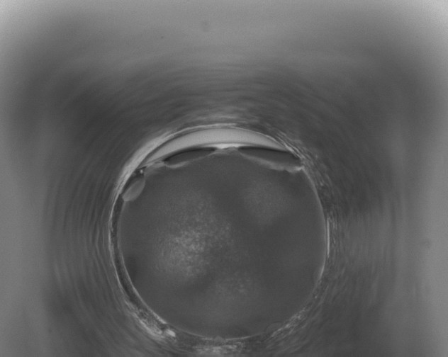 X0000081470147200701191815