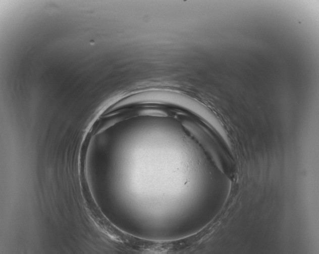 X0000081470148200701191815