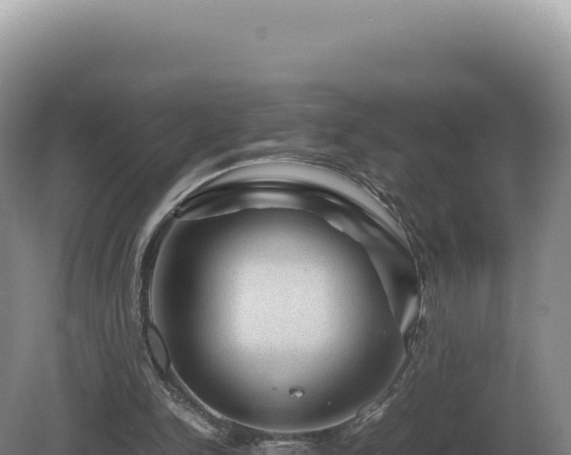 X0000081470150200701191815