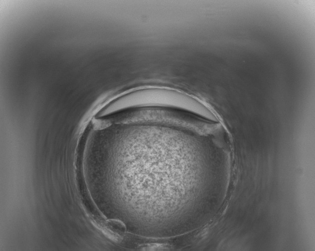 X0000081470151200701191815