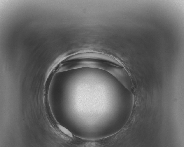 X0000081470152200701191815