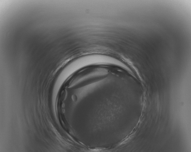 X0000081470154200701191815